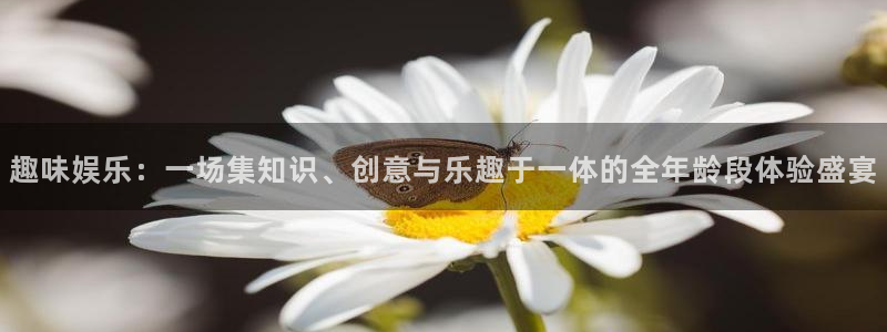 琳琅娱乐