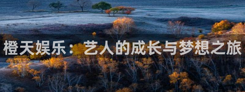 琳琅娱乐